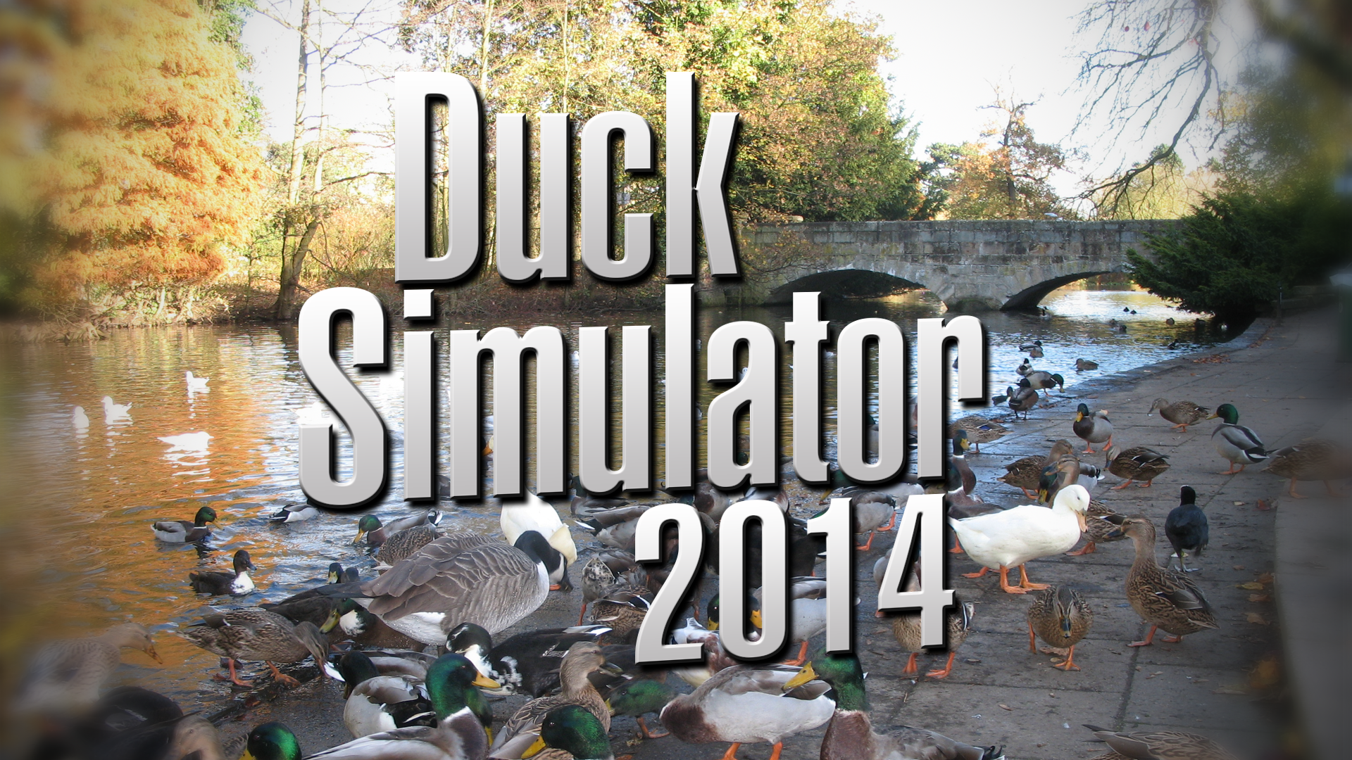Duck_Simulator_Logo1